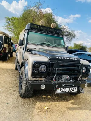 Land Rover Defender 2008 Kijivu