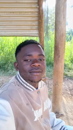 Kufanya Kazi Mtandaoni - Mpango Uthibitishwa