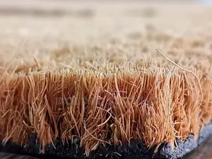 Coir Mat Roll Nzito 1x10m, 15mm Nene kwa Mlango