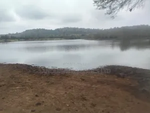 10 Acres Farmland for Sale in Malili, Konza - 1.5km Off Mombasa Road
