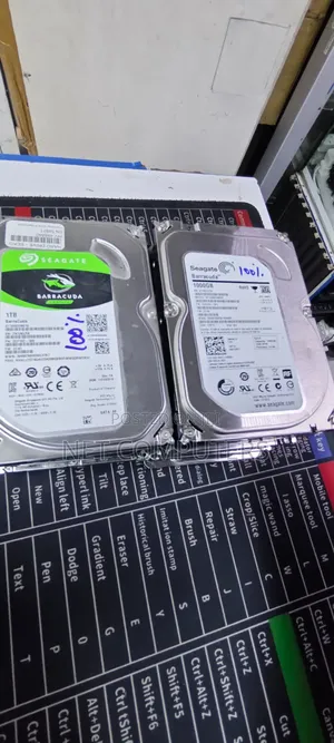 1TB WD Internal na Surveillance Hard Drive