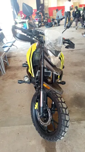 New Regal Raptor DY250 Sport Bike 2024 Yellow