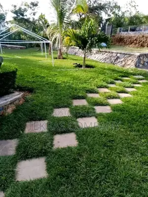 Huduma za Matengenezo na Usanifu wa Bustani