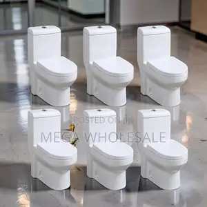 Sawa One Piece Dual Flush Toilet Seat