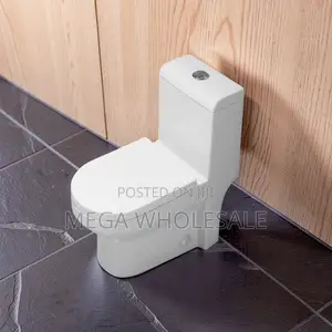 Sawa One Piece Dual Flush Toilet Seat