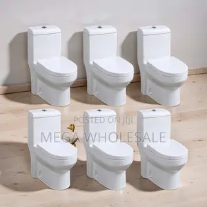 Sawa One Piece Dual Flush Toilet Seat