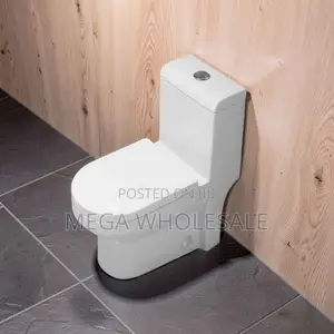 Sawa One Piece Dual Flush Toilet Seat