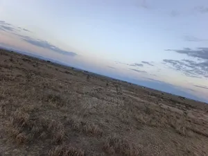 Eka Moja Nanyuki Inauzwa