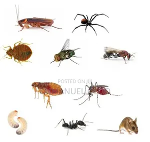 Pest Control Services in Malindi, Mombasa, Kwale, Diani