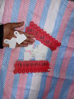 All-Weather Ear Tags for Lambs