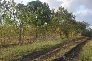 Eneo la Eka 4 za Ardhi Nzuri kwa Uuzaji Vinuni, Tiwi, Kaunti ya Kwale