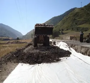 Wauzaji wa Geotextile Isiyo-Weave 300 GSM