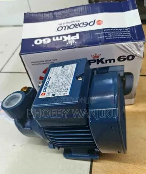 Pedrollo Booster Water Pump Bora 0.5HP