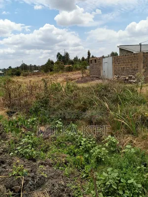 Kiganjo Plot for Sale - 40x60