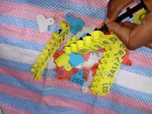 Vitambulisho vya Masikio kwa Kondoo na Mbuzi