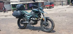 Tekken Forza 250 2023 - Green