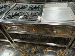 Combined Burner and Hotplate