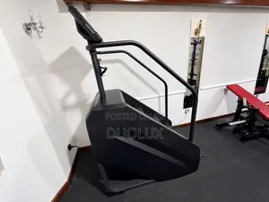 DHZ Stair Master Professional (Premium)