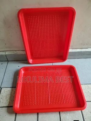 Rectangular Feeding Trays - Mpya Kabisa