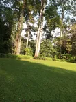5-Bedroom Maisonette in Kitisuru for Rent - 5