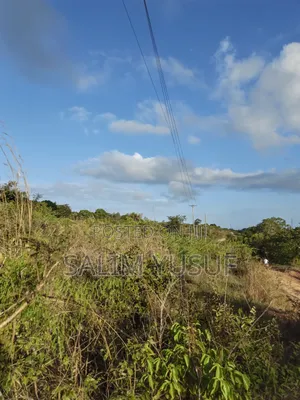 Shamba la Eka 7.5 Linaouzwa Tiwi Magodzoni