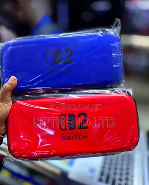 Nintendo Switch 2 "Storage Case"