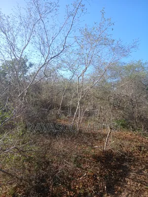 50 Acres for Sale in Malindi Boreshingwaya