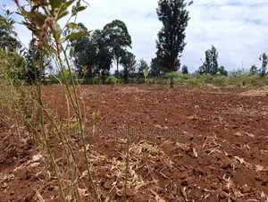 One Acre Land for Sale in Makuyu, Ciumbu Market