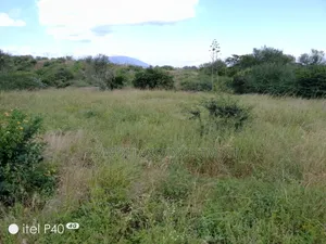 Eneo la 1.2 Acre Linauzwa Gatuanyaga