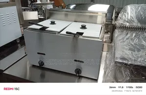Imported Double Gas Deep Fryer - Vanikatista Ventures