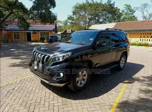 Executive Car Hire & Chauffeur Services by Wakience