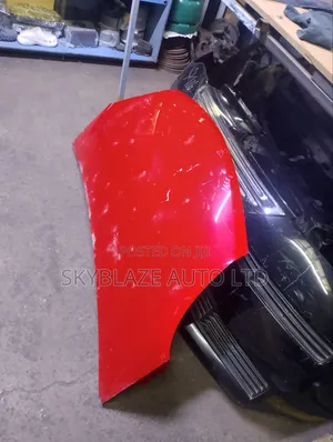 Toyota Passo Bonnet Lid (Iliyo tumika)