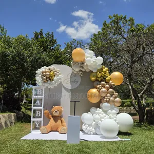 Gender Reveal Decor Services