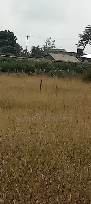 1.5 Acre Residential Land for Sale in Ndeiya, Limuru