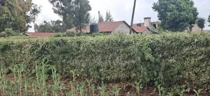 60x100 Residential Plot for Sale - Ngecha Ring'ati B