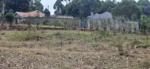50x100 Plot for Sale - Kamuguga, Next to Zambezi