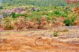 Vipande vya 50x100 Vinauzwa Embu County