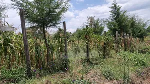 Residential Plot for Sale - 50x100 ft