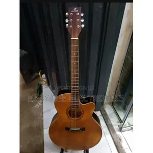 Gitaa la Semi-Acoustic la Inchi 41