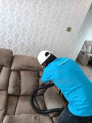 Fast Sofa Cleaning Services