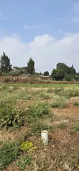 Vitia Bora vya Makazi - Kikuyu, Kamangu - 4