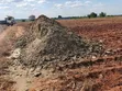 Decomposed Manure Available - 1