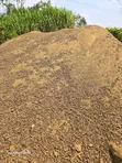 Decomposed Manure Available - 5
