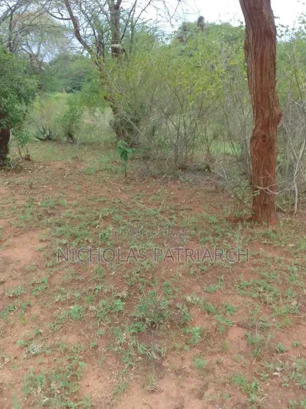 Eneo la Eka 2 Machakos Katangi Linauzwa - 1