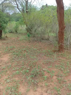 Eneo la Eka 2 Machakos Katangi Linauzwa