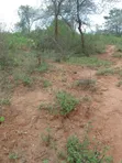 Eneo la Eka 2 Machakos Katangi Linauzwa - 2