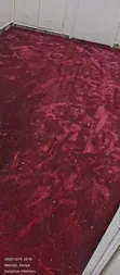 12mm Executive Maroon Wall-to-Wall Office Carpets - 1