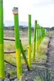Vipande vya 50x100 Koma, 2km kutoka Tarmac Kangundo Road - 4