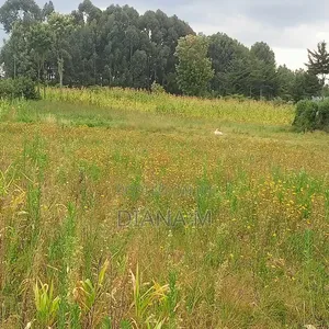 Prime 10 Acres for Sale in Kasuku, Nyandarua