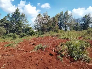 1 Acre Plot for Sale in Kinoo